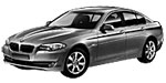 BMW F10 C2023 Fault Code